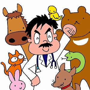 獣医師の仕事について