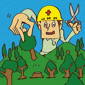 日本が誇る資源、森林を活用して持続可能な循環社会をめざす