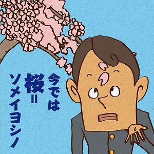 「桜咲く中で入学式」はいつ頃からの習慣？
