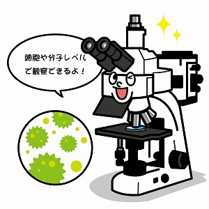 生命科学の最先端を担う究極の光学顕微鏡