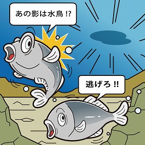 関心ワード「魚・魚類」の講義2