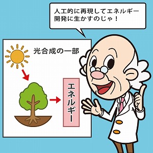 植物の光合成をお手本に、新たなエネルギーの開発を