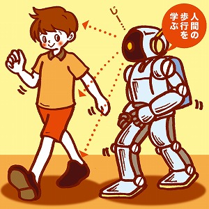 人型ロボットの2足歩行制御のために人間の歩行を学ぶ