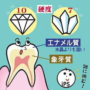 関心ワード「歯」の講義4
