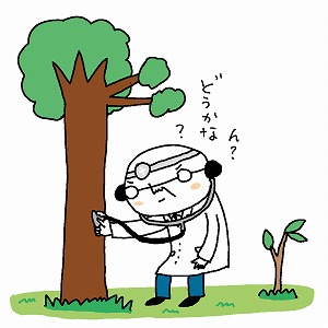 樹木の生態と環境との関係を研究する「樹木生理生態学」の魅力