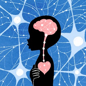 「心」と「脳」、その科学的な関係を読み解く！