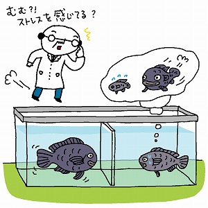 関心ワード「魚・魚類」の講義4