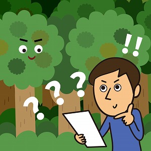 謎の多い樹木と環境の関係を読み解く「樹木生理学」
