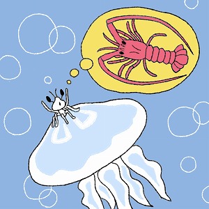 イセエビ類の幼生はクラゲを食べる？　共生の謎を解き養殖をめざす