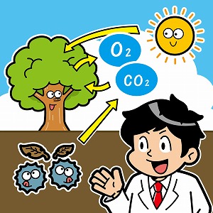 炭素循環で考える生態系と地球の未来