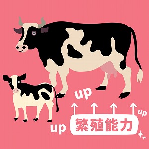 学問分野「酪農・畜産学」の講義4