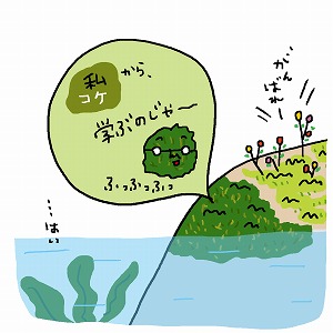 関心ワード「藻類」の講義1