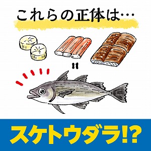 関心ワード「魚・魚類」の講義3
