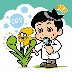 二酸化炭素の増加に適応する作物を育成するには？