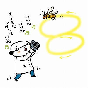 ミツバチからロボットまで　パターン認識でコミュニケーションを探る