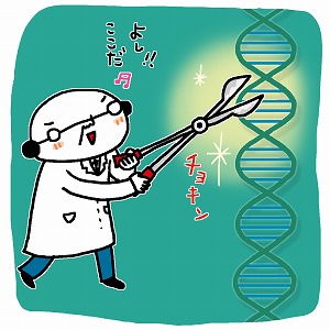 関心ワード「DNA(デオキシリボ核酸)」の講義3