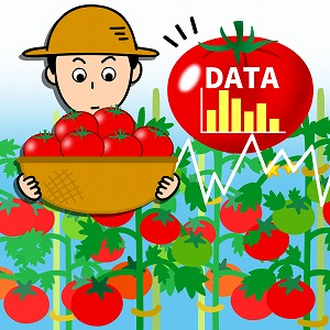 今年のトマトはどう？　機械学習で作物の生育を予測