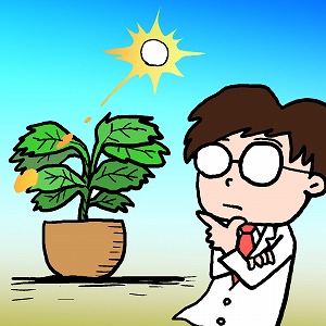 関心ワード「植物」の講義3