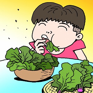 えぐ味の原因「シュウ酸」の少ないほうれん草を開発する