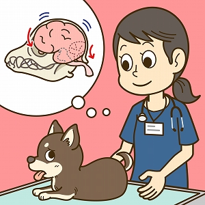 イヌの「てんかん」を治すには？　神経病の治療法と予防法を探る