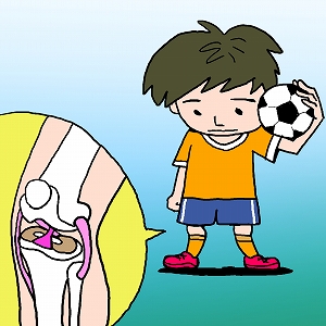 膝前十字靭帯断裂の要因の一つ、「サイレントピリオド」って何？