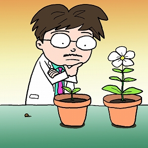 植物が成長過程で形を変える不思議　植物発生学の研究