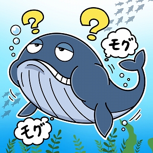 イルカやクジラには、食べ物の味を感じる能力がない？
