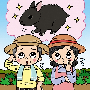 天然記念物のウサギが農家の悩みに？　動物と共生する農業の研究