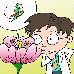 花粉管を誘っているのは誰？　植物の受精メカニズムは謎だらけ