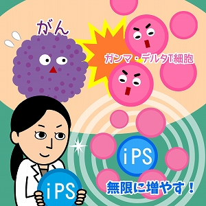 関心ワード「iPS細胞」の講義4