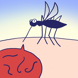 マラリア原虫の弱点を探せ！　巧妙な寄生適応のメカニズムを解明する