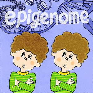 遺伝子の発現を制御する「エピゲノム」をふたごで解析せよ！