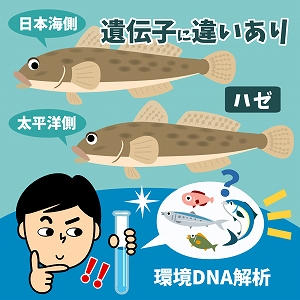 関心ワード「魚・魚類」の講義4
