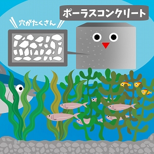 生き物たちのオアシスに！　穴だらけのコンクリートとは