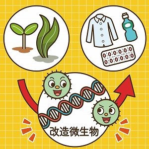 改造微生物で作る！　カーボンニュートラルな化学製品