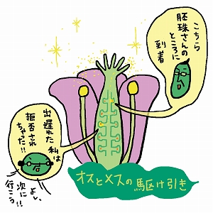 学問分野「生物学」の講義1