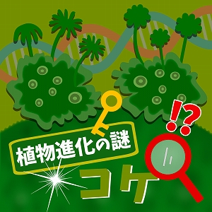 植物の普遍的メカニズム解明のカギはコケにあり！