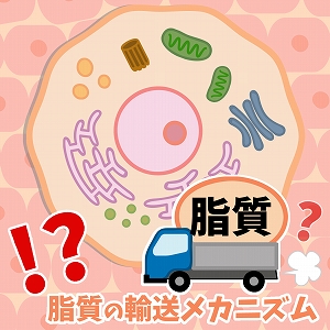 同じ「大学」の講義1