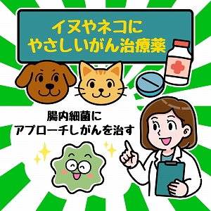 関心ワード「心臓」の講義1