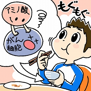 食事で健康を守る！ 　科学的根拠に基づいた「がんを防ぐ食事」とは