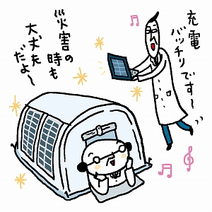 未来のエネルギー革命　薄くて曲がるペロブスカイト太陽電池