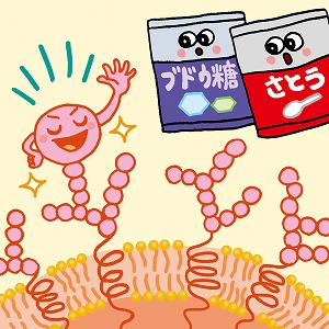 学問分野「薬学」の講義2