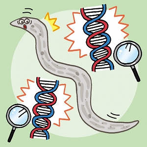 学問分野「生物学」の講義2