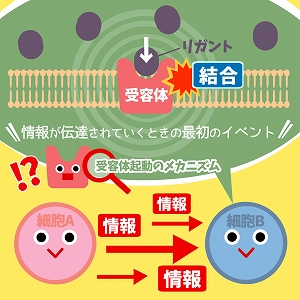 同じ「大学」の講義1