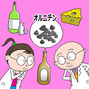 同じ「大学」の講義4