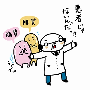 健康の維持・増進に貢献する脂質