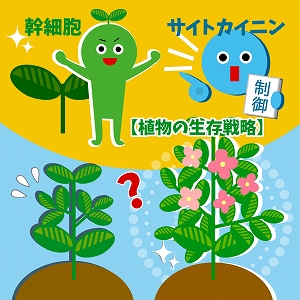 関心ワード「植物」の講義4