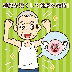 予防医療や健康維持のために、強い細胞・組織づくりをめざす