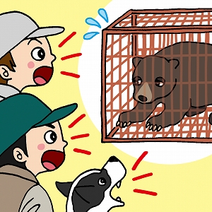 双子なのに父親が違う？　知られざるツキノワグマの生態
