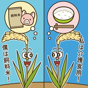 学問分野「農学・農芸化学」の講義2